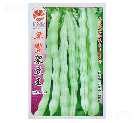 ���S�ܶ���-�ܶ��N��