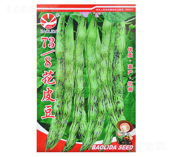 738��Ƥ��-�|���N��