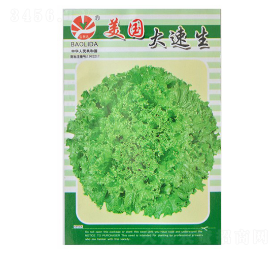 ����������-�~�˷N��