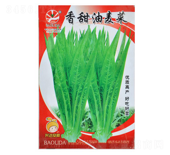 ����������-�~�˷N��