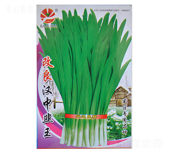 �����h�о���-�~�˷N��