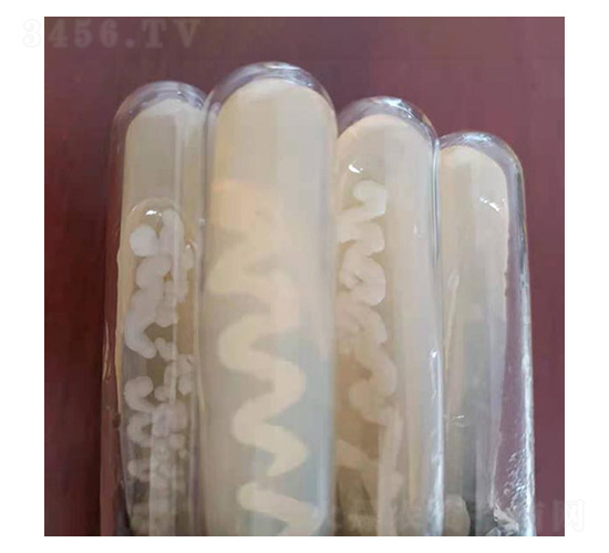 �K�ƽ�U���˜ʾ���-�Ű�����