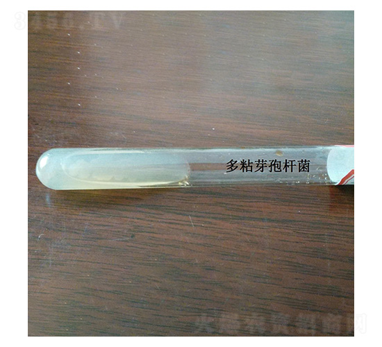 ��ճѿ�ߗU��--б��ԇ��ԭ�N-�Ű�����