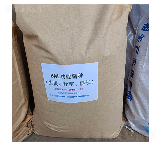 BM����ʹ��ܾ�������������L(zh��ng)��-�Ű�����