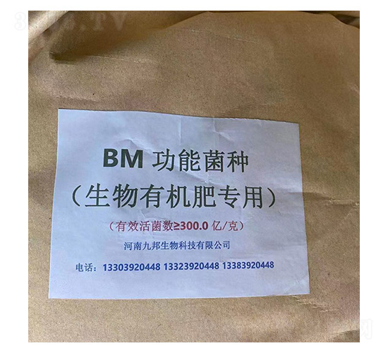 ���ܾ�����ʌ���-�Ű�����