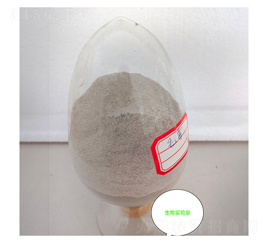 ëù���N-�Ű�����