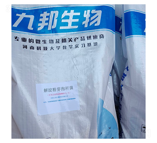 �����ѿ�ߗU��-�Ű�����