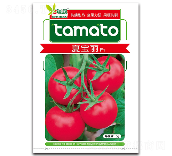 �Č���F1-���ѷN��-����