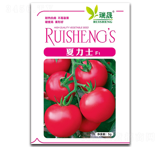 ����ʿF1-���ѷN��-����