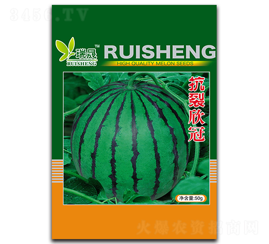 ��������-���ϷN��-����