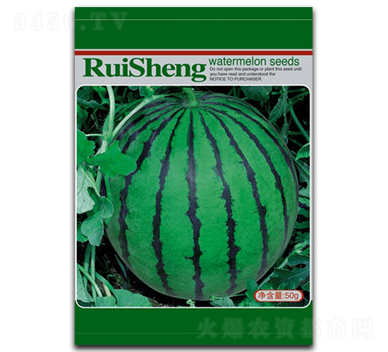 ����668-���ϷN��-����