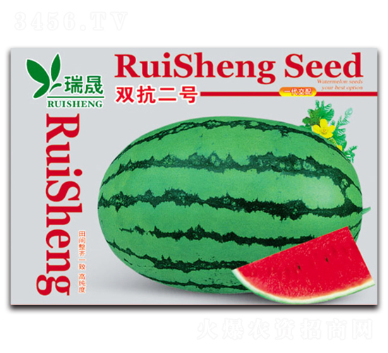 �p����̖-���ϷN��-����