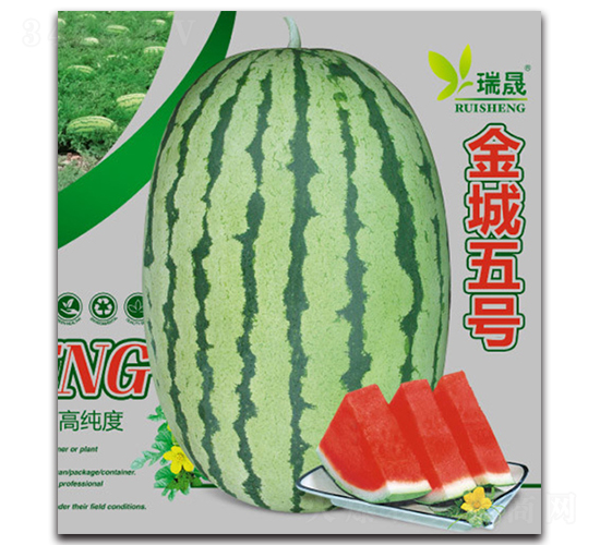 �����̖-���ϷN��-����