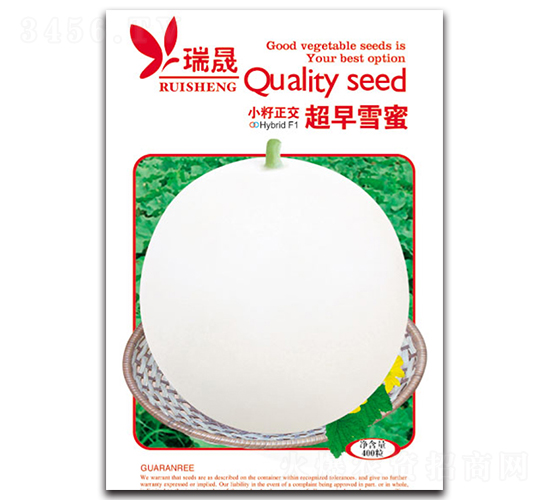 ����ѩ��-����