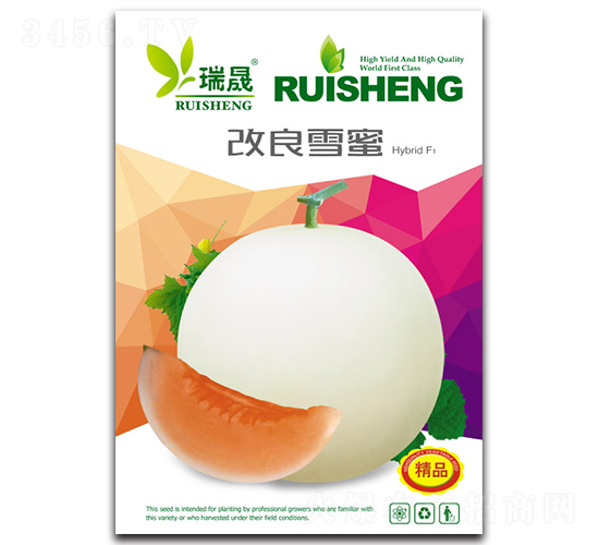 ����ѩ��-����