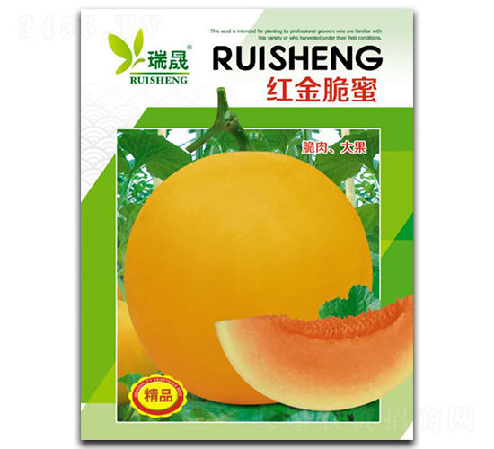 �t�����-��ϷN��-����