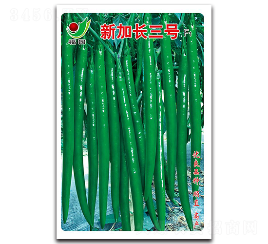 �¼��L��̖F1-�����N��-ʒ�зN�I(y��)