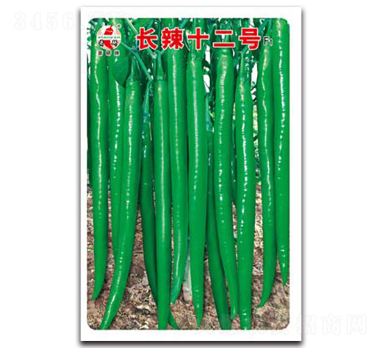 �L��ʮ��̖-�����N��-ʒ�зN�I(y��)