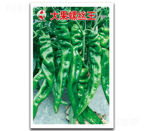 ����ݽz��-�ݽz���N��-ʒ�зN�I(y��)