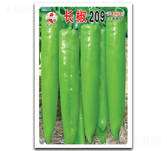 �L��209-�����N��-ʒ�зN�I(y��)