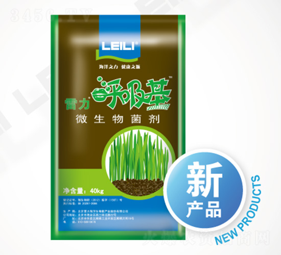 ΢�������-����������-��������