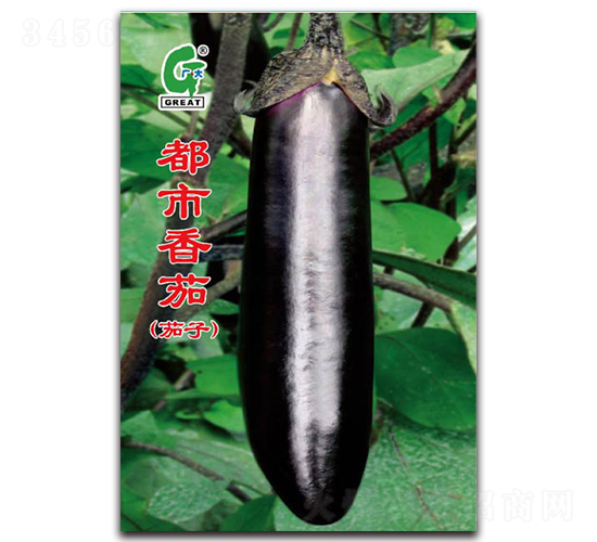 ��������-���ӷN��-�V��