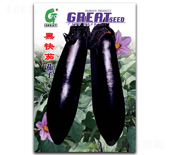 �ڿ���-���ӷN��-�V��