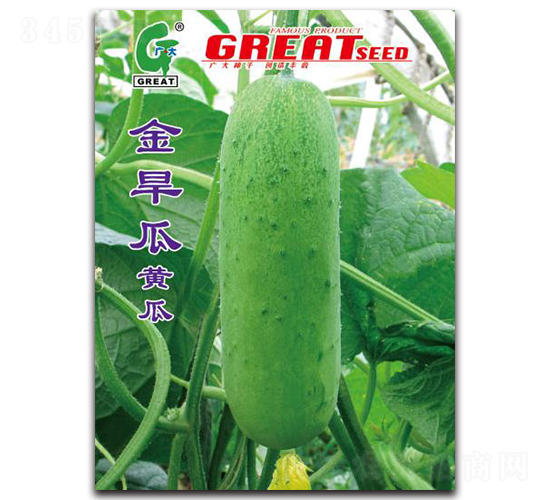 �𺵹�-�S�ϷN��-�V��