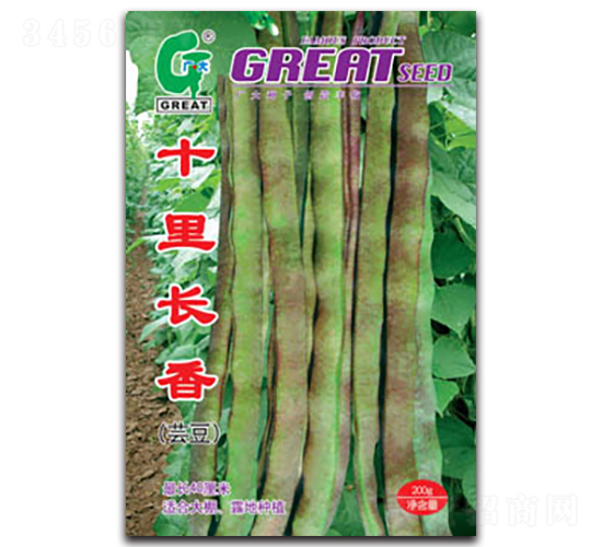 ʮ���L(zh��ng)��-�|���N��-�V��