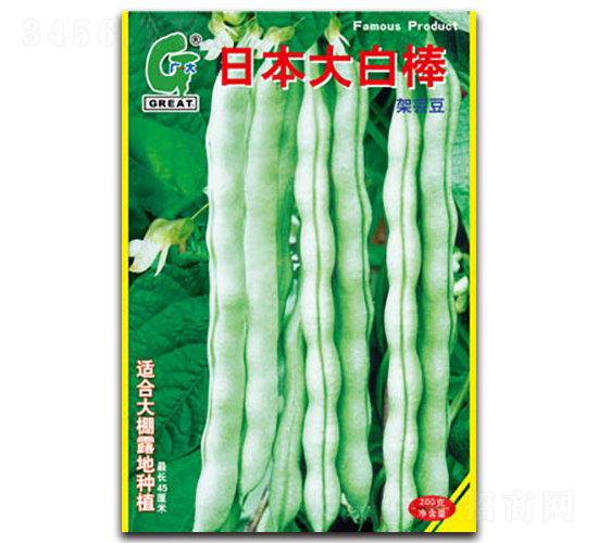 �ձ���װ�-�|���N��-�V��