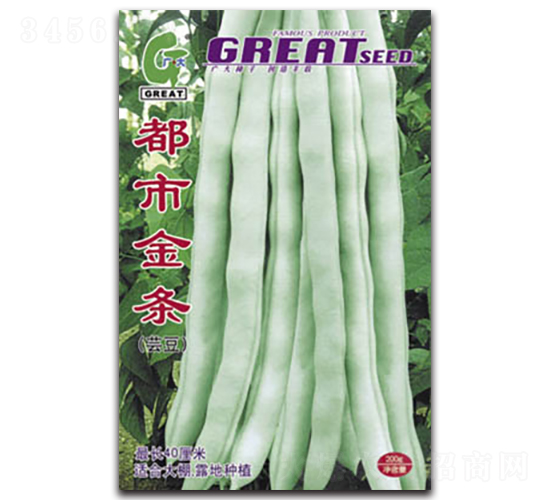 ���н�l-�|���N��-�V��