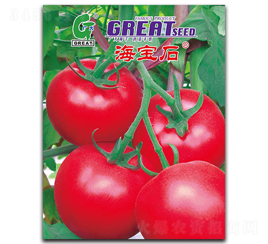 ����ʯ-���ѷN��-�V��