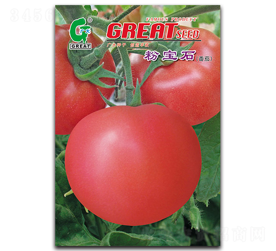 �ی�ʯ-���ѷN��-�V��