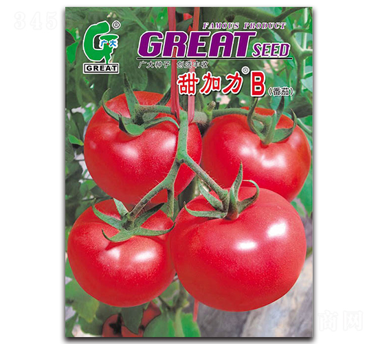 �����B-���ѷN��-�V��