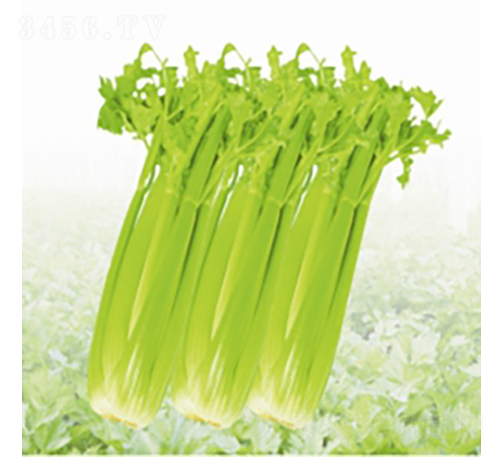 �������-�۲˷N��-��Ʒ�r(n��ng)�I(y��)