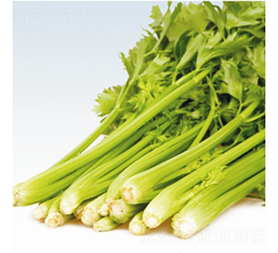 ���P��-�۲˷N��-��Ʒ�r�I(y��)