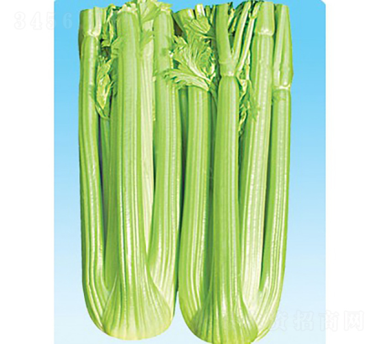 ���m���ʺ�-�۲˷N��-��Ʒ�r(n��ng)�I(y��)