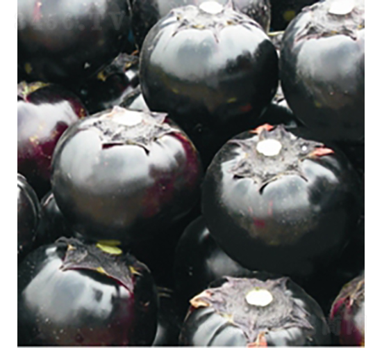 ī�����̫�-���ӷN��-��Ʒ�r(n��ng)�I(y��)