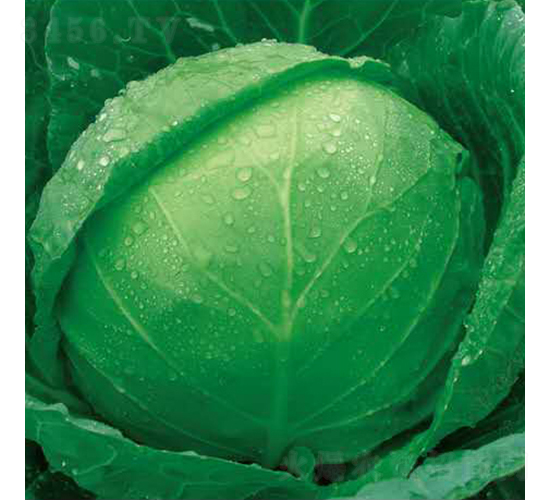 �|��֮��-���{�N��-��Ʒ�r�I(y��)