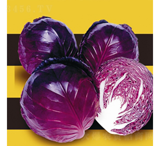 ���¸��{(l��n)-���{(l��n)�N��-��Ʒ�r(n��ng)�I(y��)