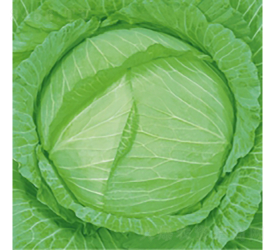 ��Ʒ3̖(h��o)-���{(l��n)�N��-��Ʒ�r(n��ng)�I(y��)