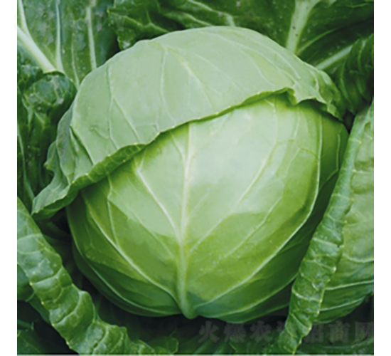 �����c�S-���{(l��n)�N��-��Ʒ�r(n��ng)�I(y��)