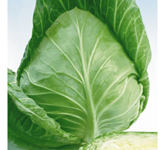 ��Ʒ����-���{(l��n)�N��-��Ʒ�r(n��ng)�I(y��)