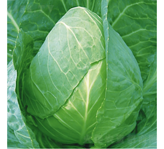 ���S008-���{(l��n)�N��-��Ʒ�r(n��ng)�I(y��)