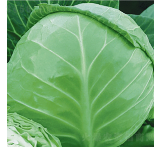 �ձ�������-���{�N��-��Ʒ�r(n��ng)�I(y��)