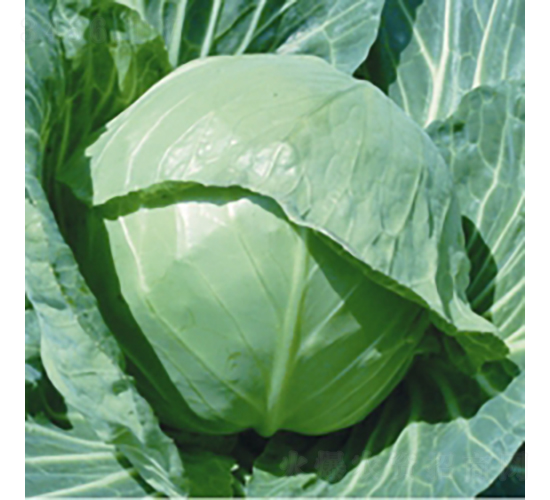 �h�|80-���{�N��-��Ʒ�r(n��ng)�I(y��)