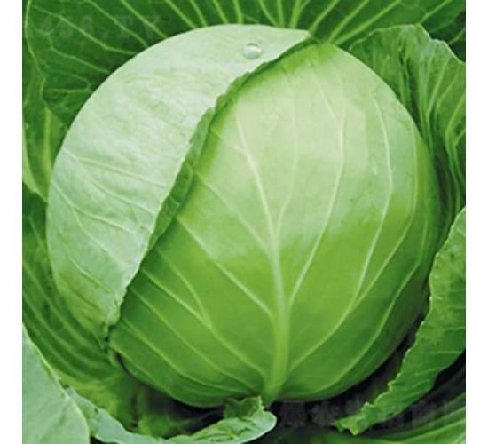 ����38-���{(l��n)�N��-��Ʒ�r(n��ng)�I(y��)