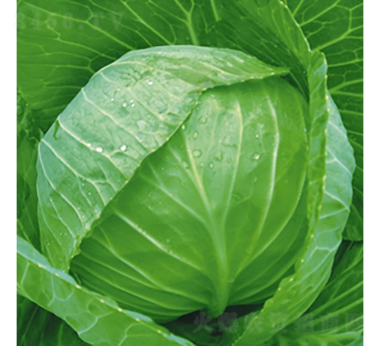 ��Ʒ����-���{�N��-��Ʒ�r(n��ng)�I(y��)