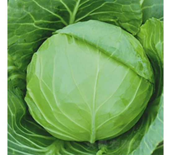 ����25-���{(l��n)�N��-��Ʒ�r(n��ng)�I(y��)