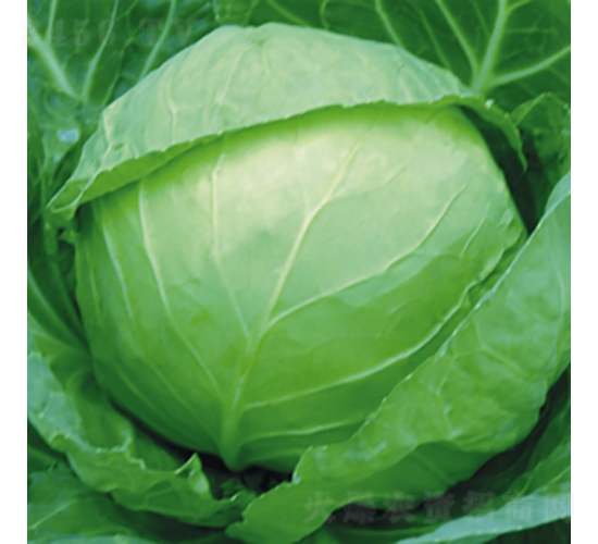 ����15-���{(l��n)�N��-��Ʒ�r(n��ng)�I(y��)